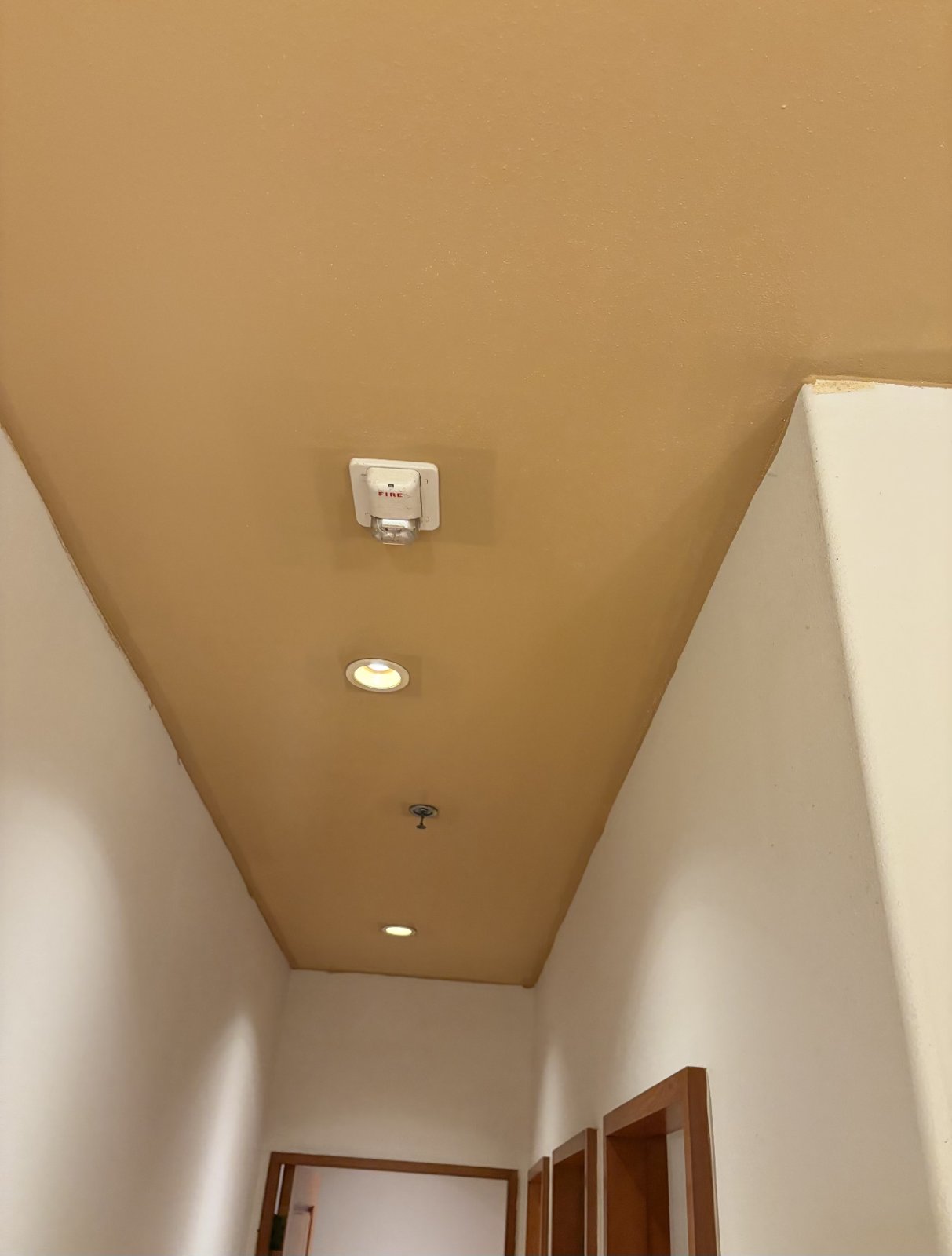 Hallway Ceiling Repaint